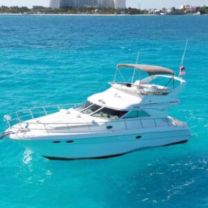 #22 SEA RAY WITH FLYBRIDGE 44 FT